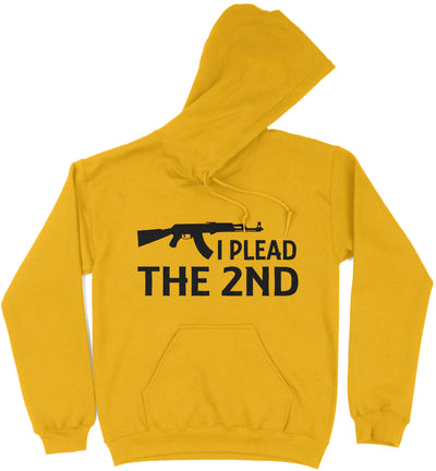 Plead The 2nd Hoodie